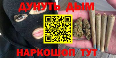сатива Бузулук