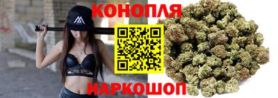 сатива Бузулук