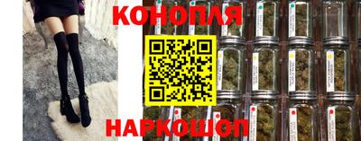 сатива Бузулук
