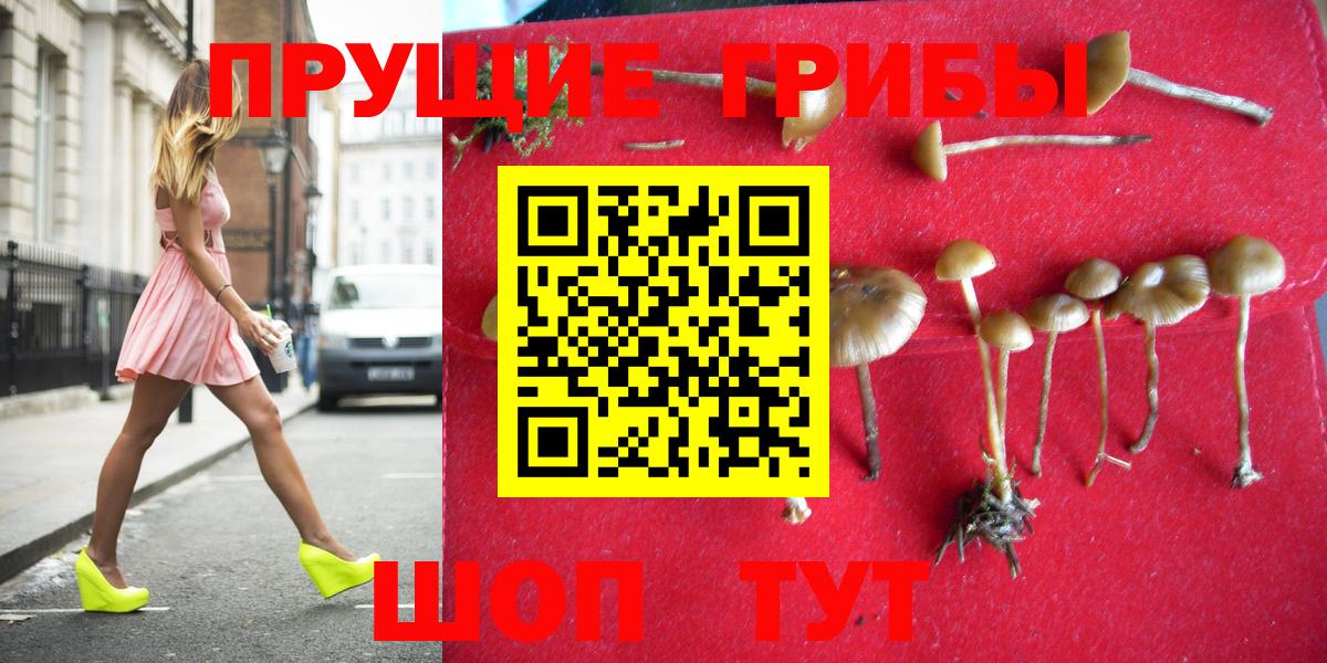 Казань  Псилоцибиновые грибы GOLDEN TEACHER  Псилоцибиновые грибы мицелий  Вход с VPN 